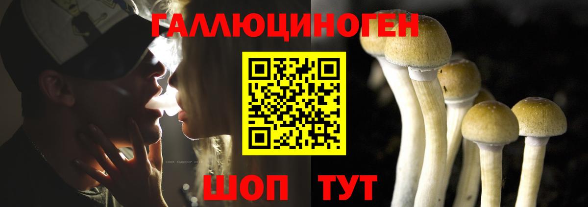Галлюциногенные грибы GOLDEN TEACHER  Вход с VPN  Сибай  Псилоцибиновые грибы Cubensis 